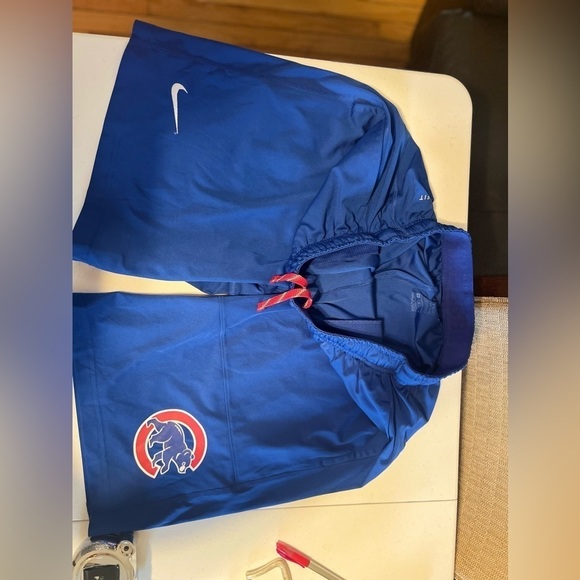 Nike Blue Athletic Shorts - Picture 5 of 6